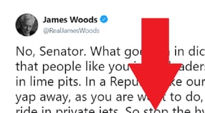 James Woods Chuck Schumer