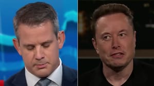 X CEO Elon Musk shared a meme with false information about Iran and an irate Adam Kinzinger called him out for 'loving' the rogue nation and demanded his military contractor credentials be revoked.