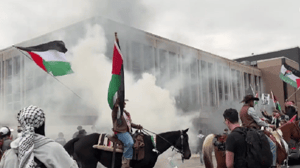 Thousands of protesters took over the streets of Austin, Texas Sunday, with some setting off smoke bombs as they expressed support for Palestine and demanded an Israeli ceasefire.