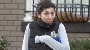 lisa page testimony