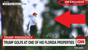 trump cnn golf bushes