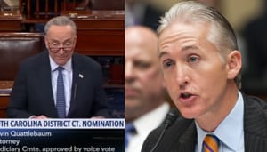 trey gowdy schumer