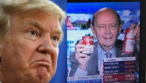fire wilbur ross