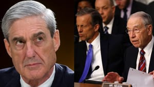 congress protects mueller