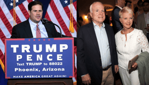 ducey appoint mccain