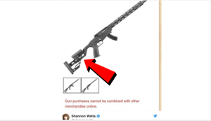 squirrel gun control
