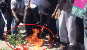 Maxine Waters supporters burn American flag