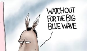 Democratic Party platform cartoon