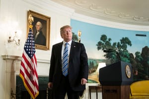 trump background check
