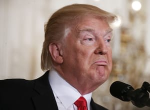 trump 2020 poll