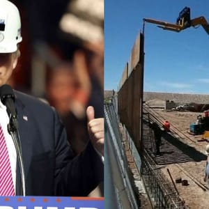 trump border wall win
