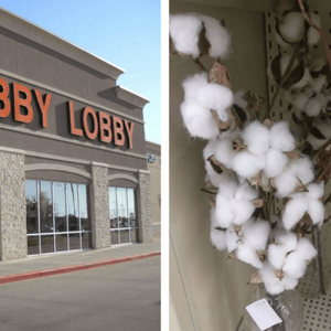 hobby lobby cotton