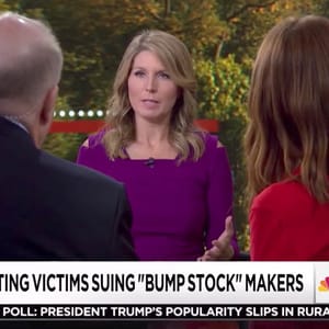 nicolle wallace second amendment