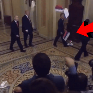 trump protester capitol