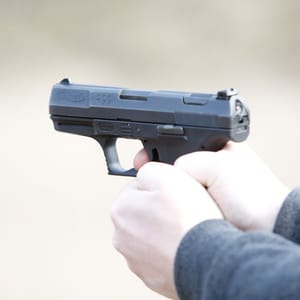 michigan gun free