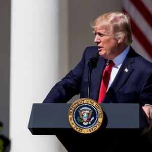 trump judicial