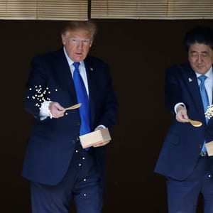 trump koi
