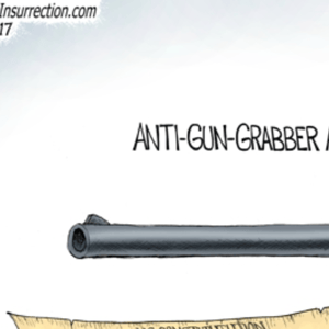 gun control constitution