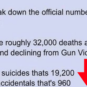 meme gun statistics