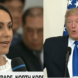 Trump korea gun control