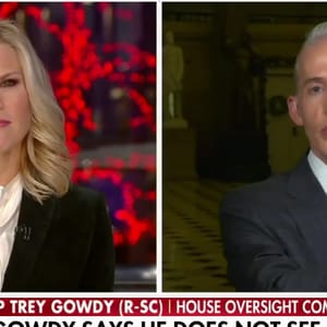 gowdy mueller probe