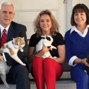 mike pence cat pickle