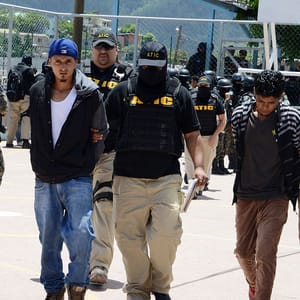 study illegal immigrants crime