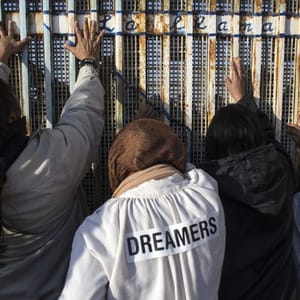 harvard poll immigration