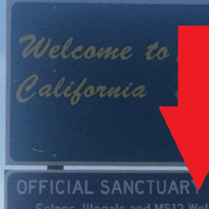 california sanctuary state sign
