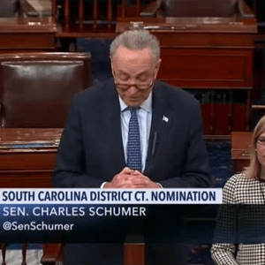 schumer nominee white