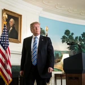 trump background check