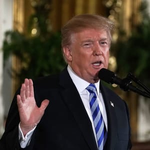 trump gun control background checks