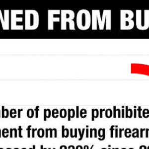 current gun control