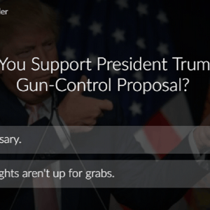 poll trump background checks