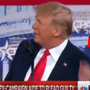 trump bald spot