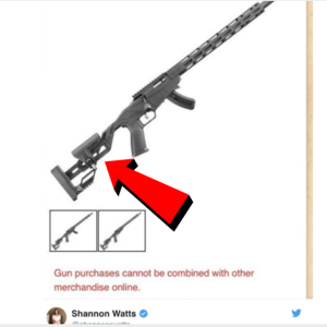squirrel gun control