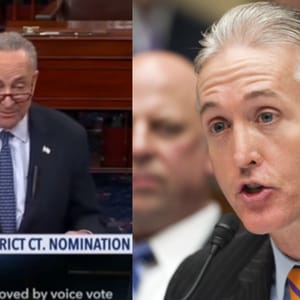 trey gowdy schumer
