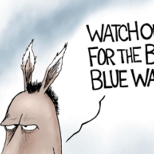 Democratic Party platform cartoon