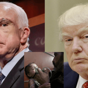 mccain blame trump syria