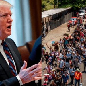 Trump caravan
