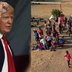trump mexico caravan
