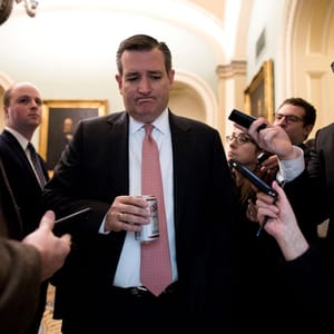 ted cruz supreme court