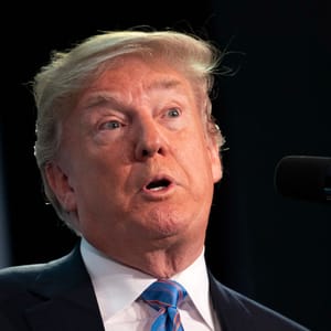 trump fix immigration