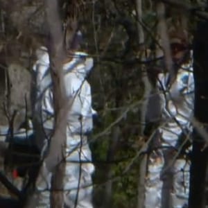 fairfax ms-13 charged