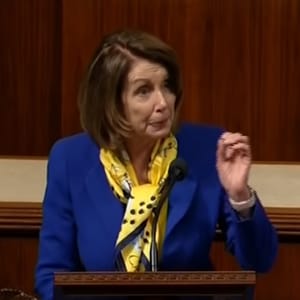 Nancy Pelosi Warriors