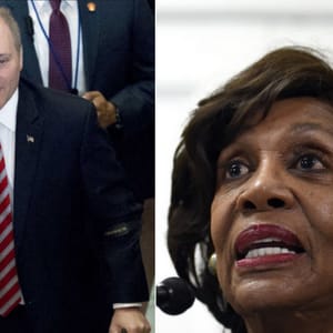 steve scalise maxine waters