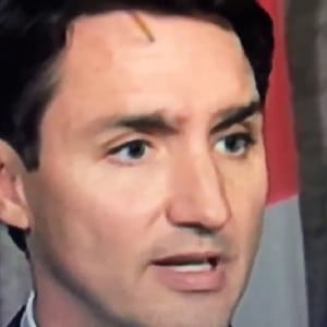 Justin Trudeau eyebrow