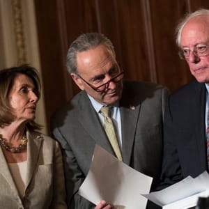 socialist democrat poll