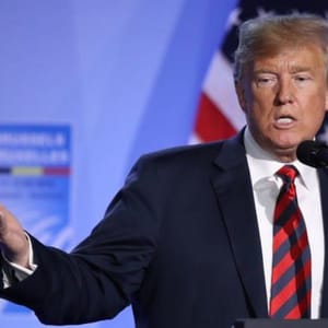 Trump stable genius