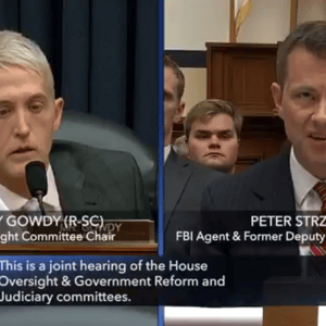 Trey Gowdy Peter Strzok